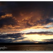 Names of God (College Course)